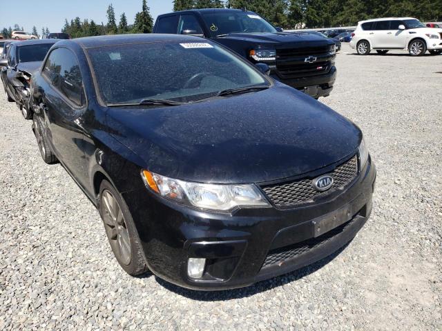 KIA FORTE SX 2011 knafw6a35b5424460