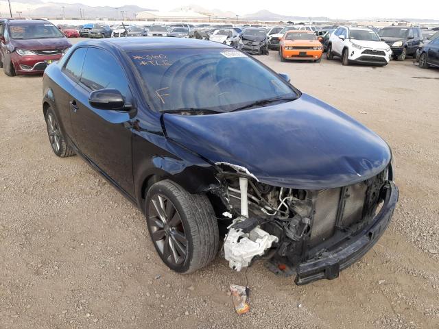 KIA FORTE SX 2011 knafw6a35b5429402