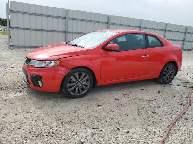 KIA FORTE 2011 knafw6a35b5461198