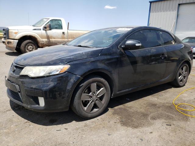 KIA FORTE SX 2010 knafw6a36a5130208