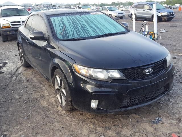 KIA FORTE 2010 knafw6a36a5138731