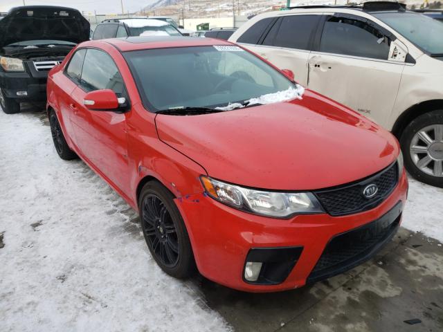 KIA FORTE SX 2010 knafw6a36a5140088