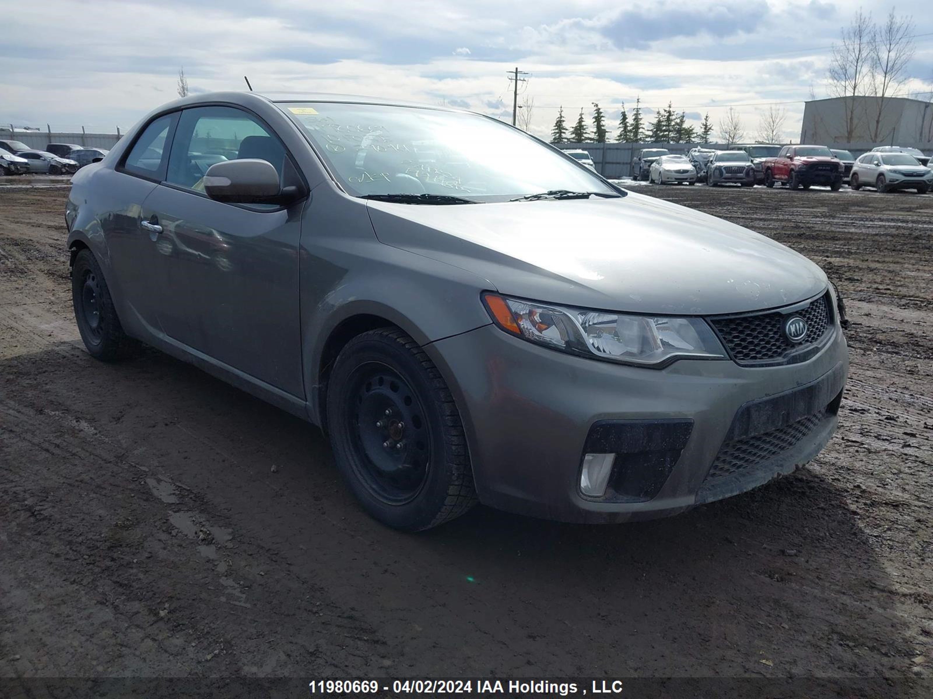 KIA FORTE 2010 knafw6a36a5290461