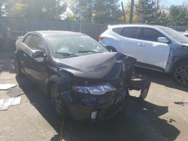 KIA FORTE SX 2011 knafw6a36b5376743