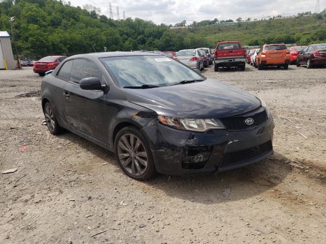 KIA FORTE SX 2011 knafw6a36b5440327