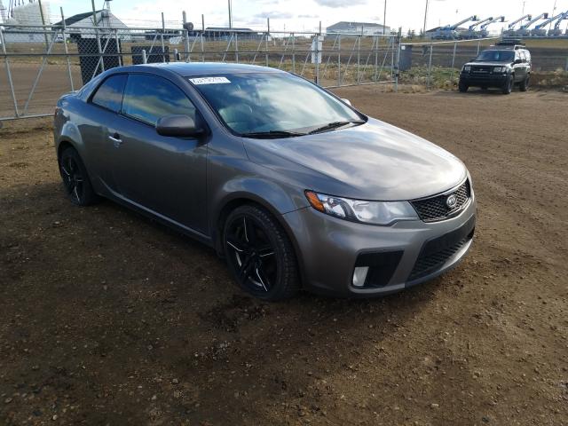 KIA FORTE SX 2011 knafw6a36b5445219