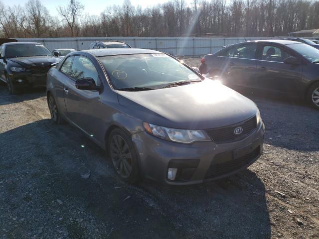 KIA FORTE SX 2013 knafw6a36d5688919