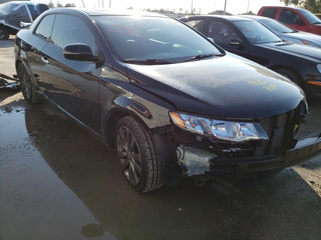 KIA FORTE SX 2011 knafw6a37b5341290