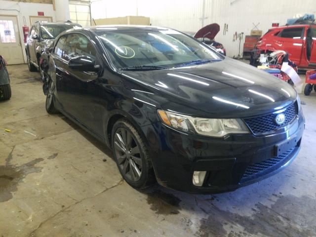 KIA FORTE SX 2011 knafw6a37b5429367