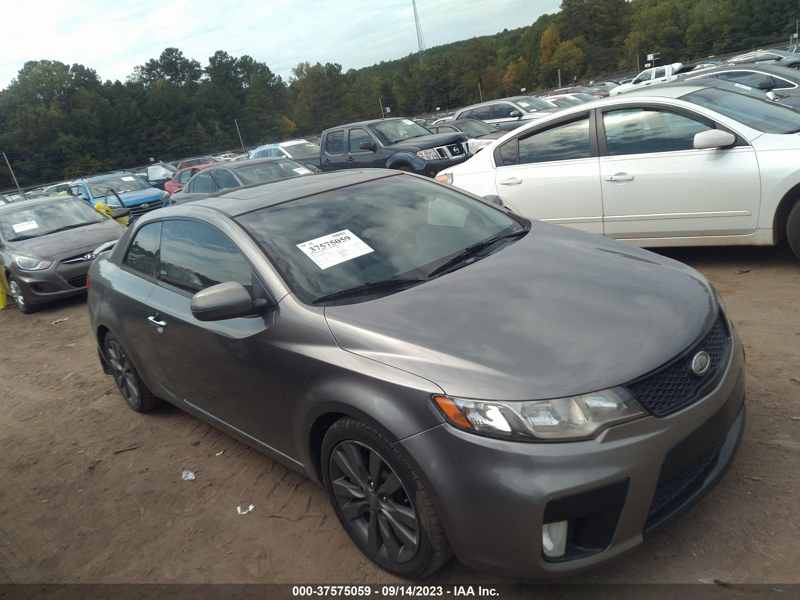 KIA FORTE 2012 knafw6a37c5478229