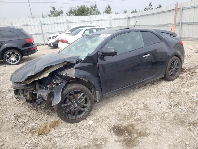 KIA FORTE 2012 knafw6a37c5484225