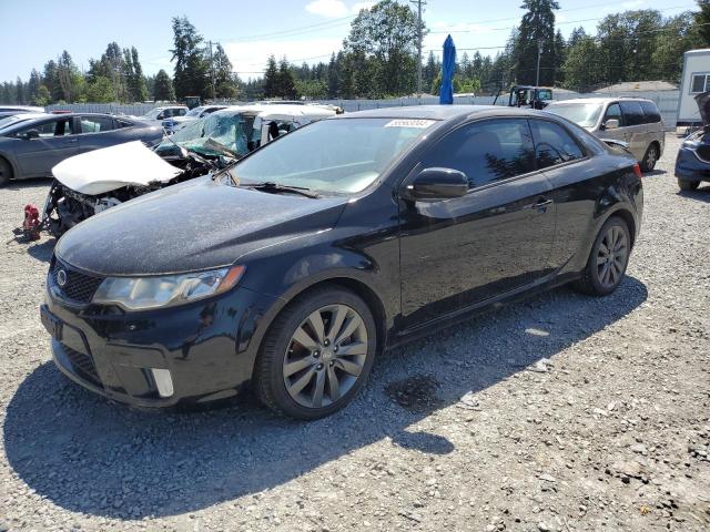 KIA FORTE 2012 knafw6a37c5552491