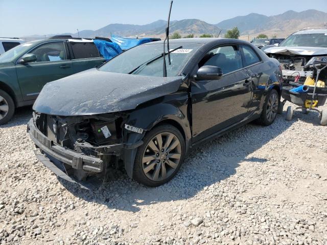 KIA FORTE 2013 knafw6a37d5664628