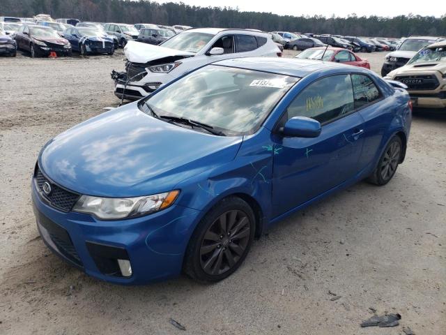 KIA FORTE SX 2013 knafw6a37d5746052