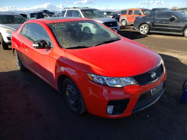 KIA FORTE SX 2010 knafw6a38a5146460