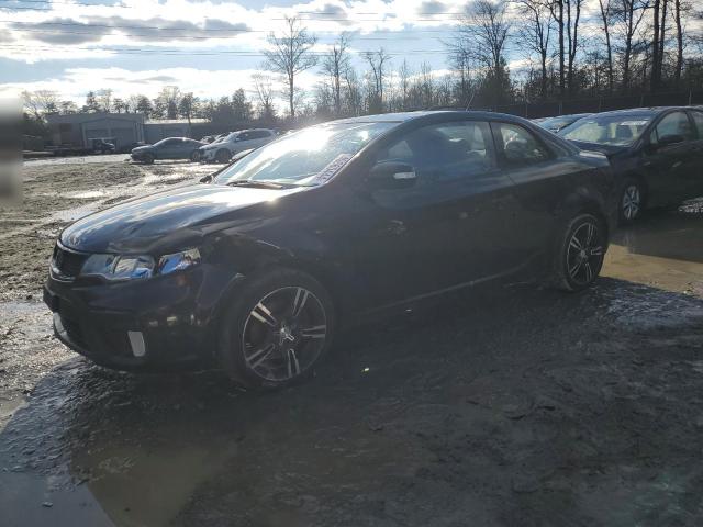 KIA FORTE 2010 knafw6a38a5183718