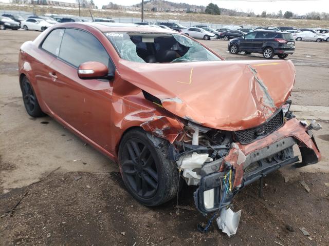 KIA FORTE 2010 knafw6a38a5312184