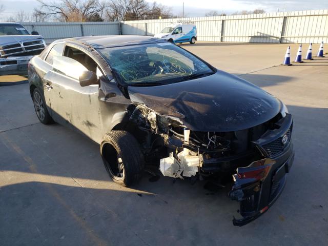 KIA FORTE SX 2011 knafw6a38b5321548