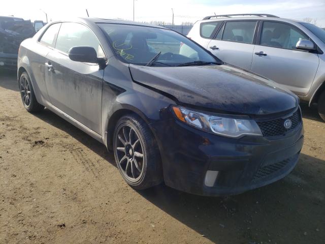 KIA FORTE SX 2011 knafw6a38b5364254