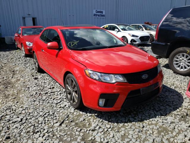 KIA FORTE SX 2011 knafw6a38b5366800