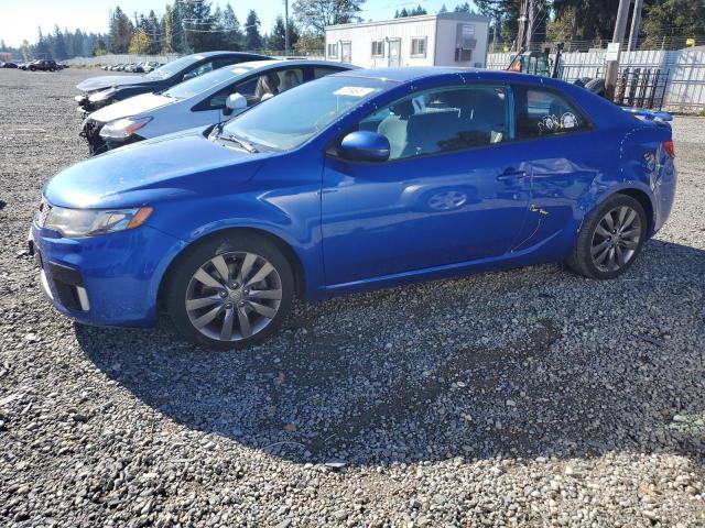 KIA FORTE 2012 knafw6a38c5621351