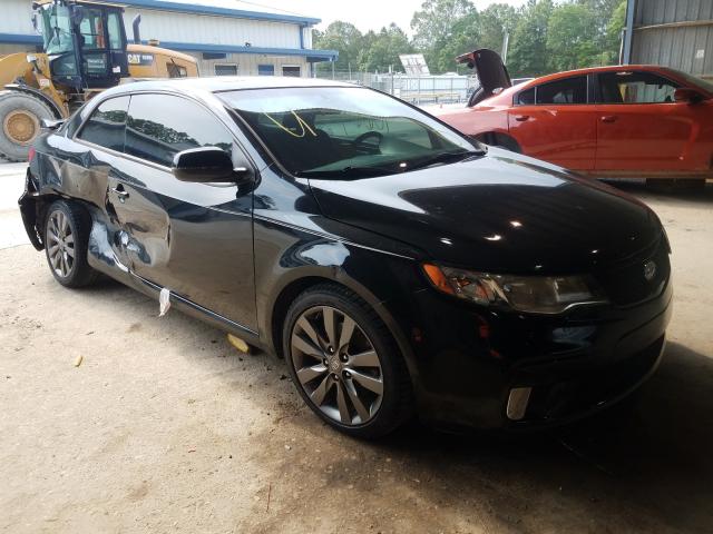 KIA FORTE SX 2013 knafw6a38d5709317