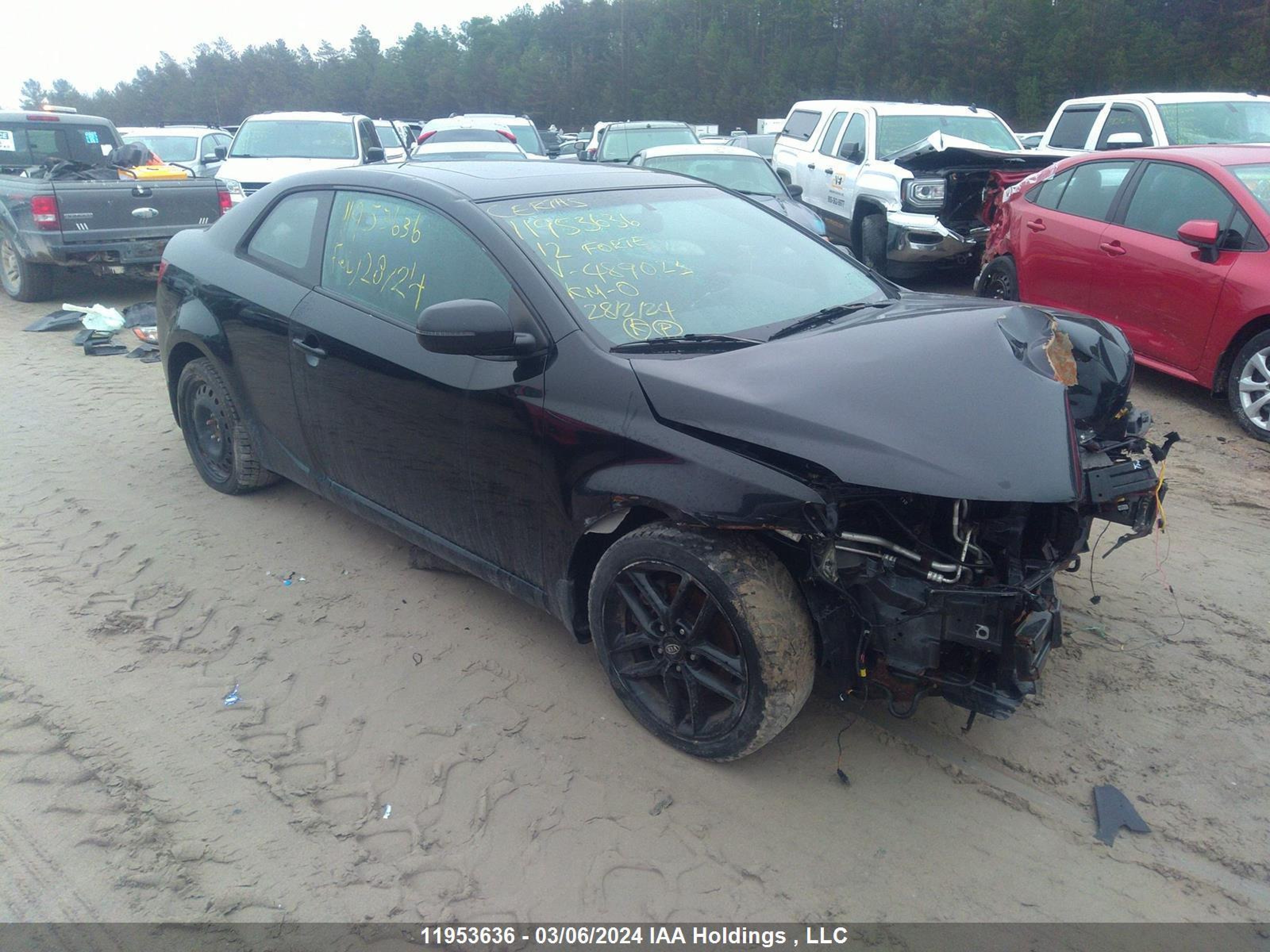 KIA FORTE 2012 knafw6a39c5489023