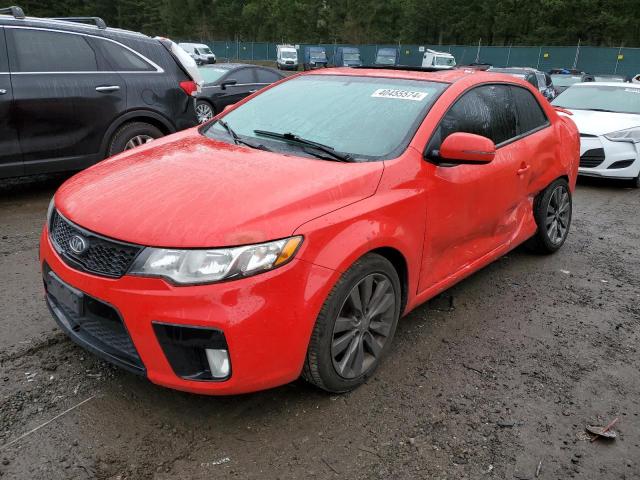 KIA FORTE 2012 knafw6a39c5594676