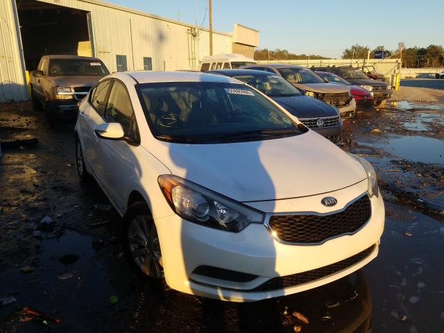 KIA FORTE LX 2014 knafx4a60e5061209