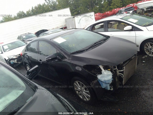 KIA FORTE 2014 knafx4a60e5066247