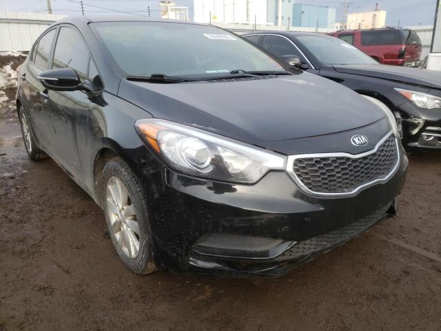 KIA FORTE LX 2014 knafx4a60e5164663