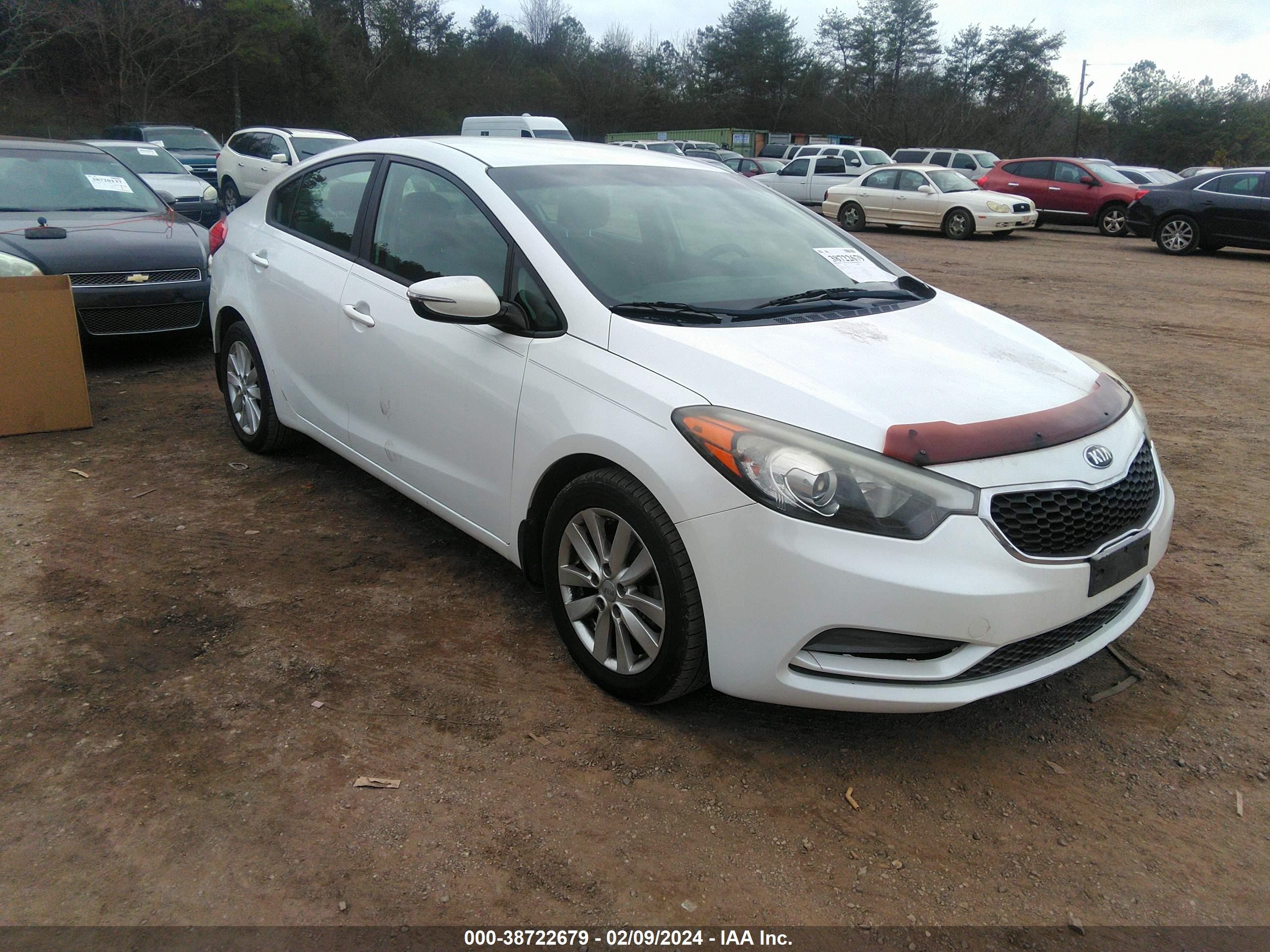 KIA FORTE 2014 knafx4a60e5203140