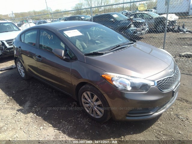 KIA FORTE 2014 knafx4a60e5212355