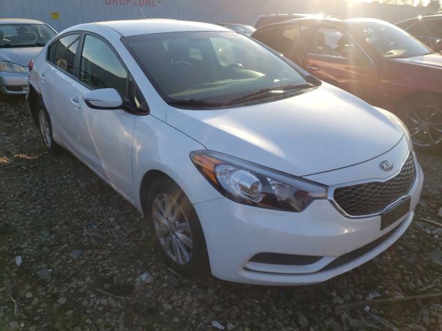 KIA FORTE LX 2014 knafx4a60e5239281