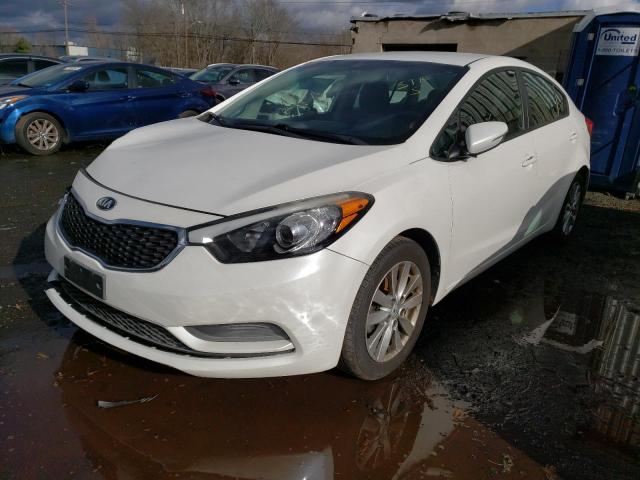 KIA FORTE 2015 knafx4a60f5414582