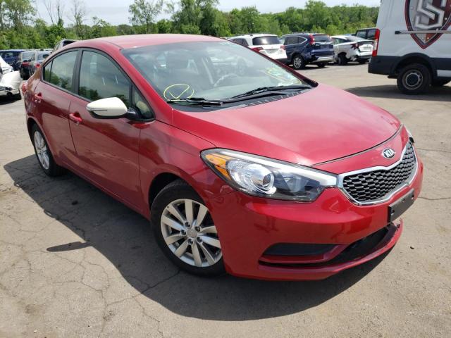 KIA FORTE LX 2014 knafx4a61e5056102