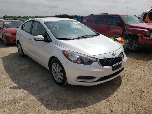 KIA FORTE LX 2014 knafx4a61e5093490