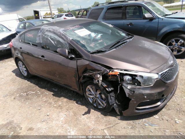 KIA FORTE 2014 knafx4a61e5153347