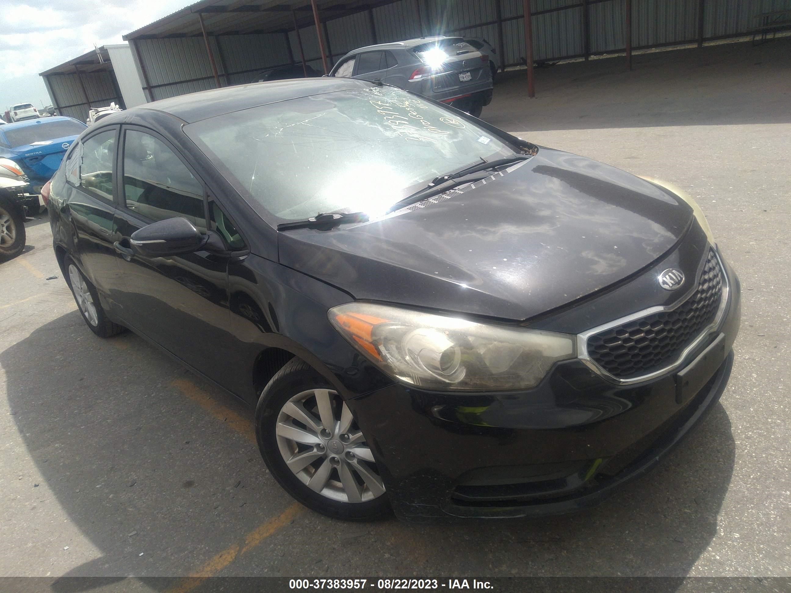 KIA FORTE 2014 knafx4a61e5156717