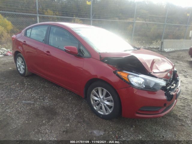 KIA FORTE 2014 knafx4a61e5165210