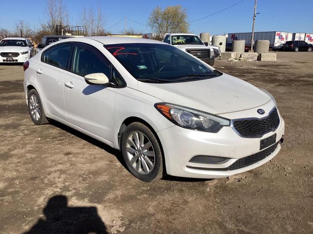 KIA FORTE 2014 knafx4a61e5168477