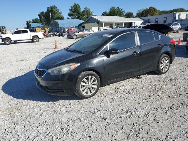 KIA FORTE 2014 knafx4a61e5235627