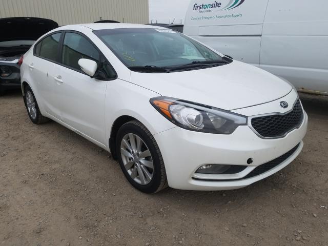 KIA FORTE LX 2014 knafx4a61e5248684