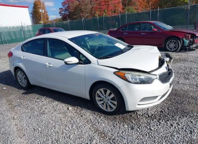 KIA FORTE 2015 knafx4a61f5256124