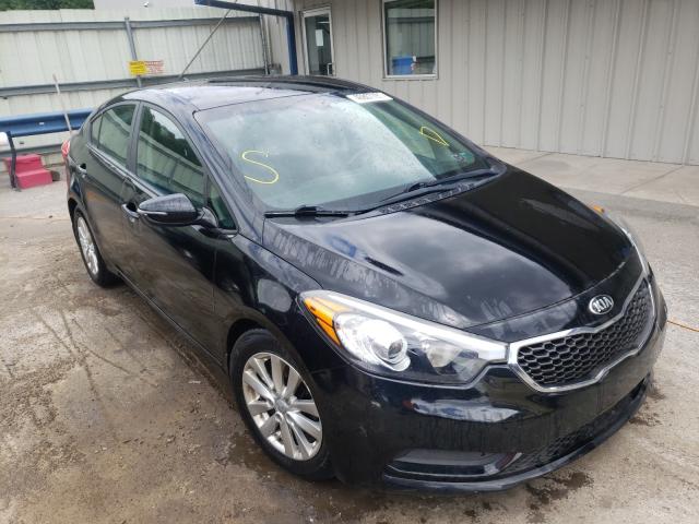 KIA FORTE LX 2015 knafx4a61f5275403