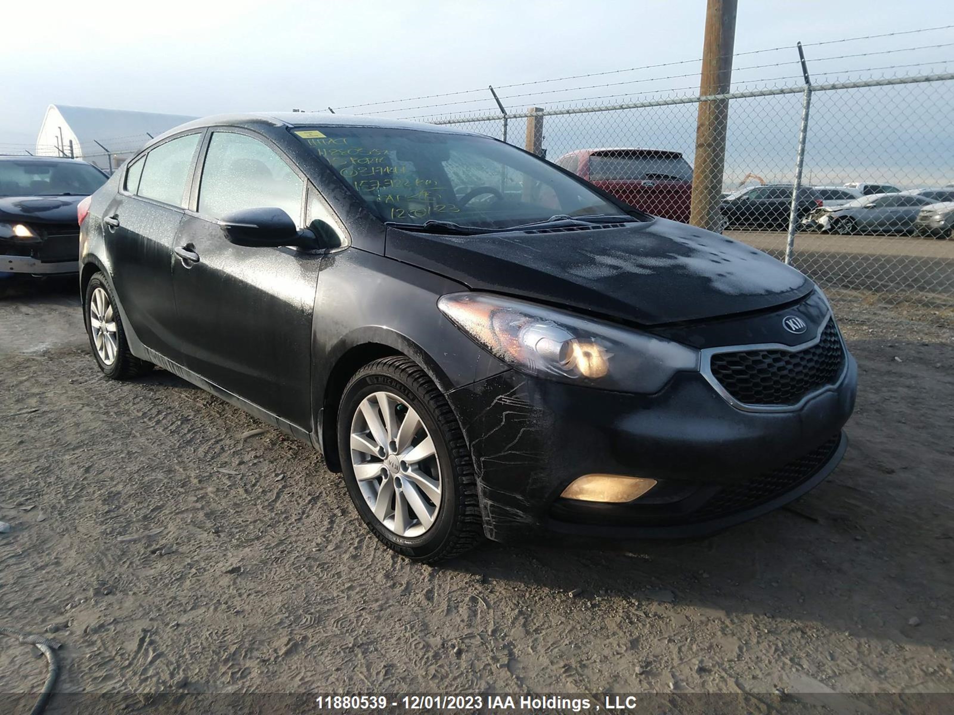 KIA FORTE 2015 knafx4a61f5317147