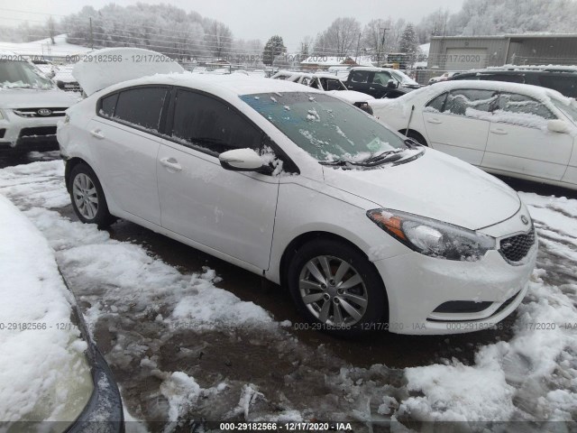 KIA FORTE 2014 knafx4a62e5095023