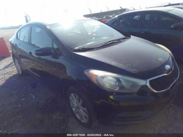 KIA FORTE 2014 knafx4a62e5129140