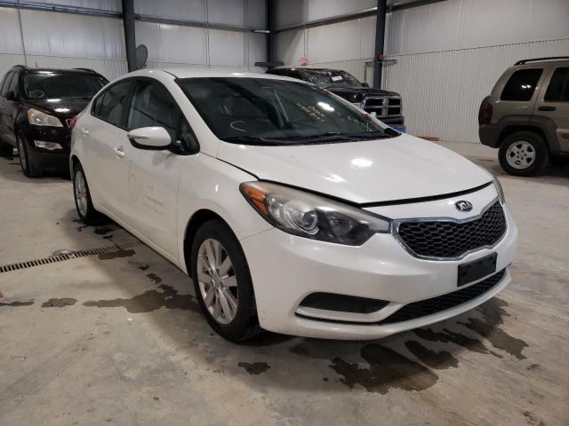 KIA FORTE LX 2014 knafx4a62e5191637