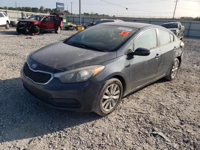 KIA FORTE 2014 knafx4a62e5249231